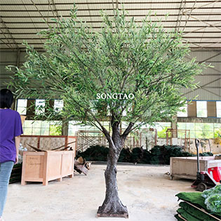 仿真橄欖樹(shù)